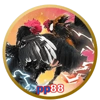 pp88